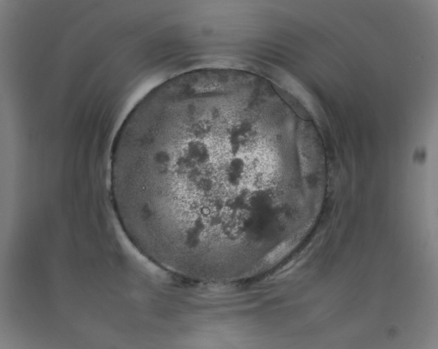 X0000092211095200709281018