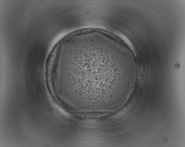 X0000092211096200709281018