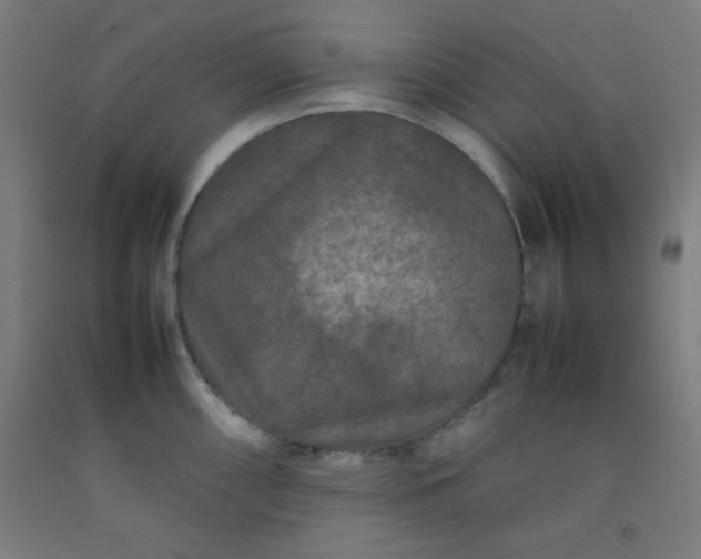 X0000092211098200709281018