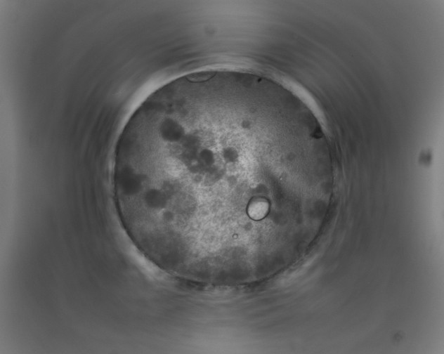 X0000092211099200709281018