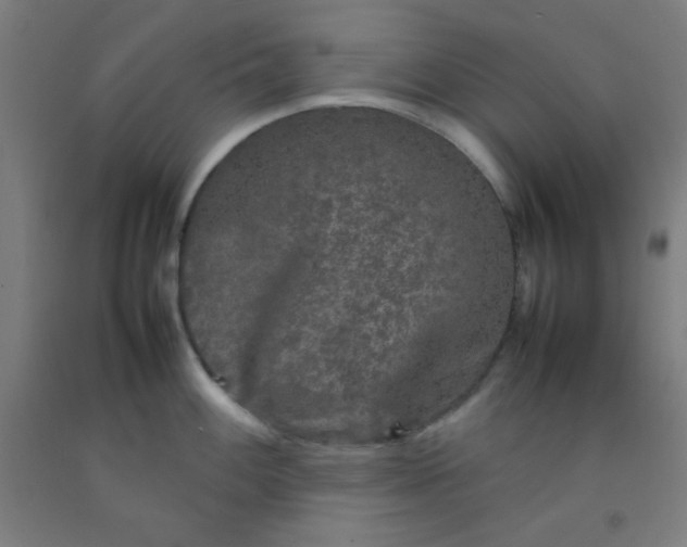 X0000092211100200709281018