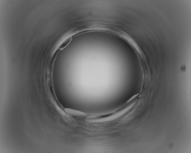 X0000092211101200709281018