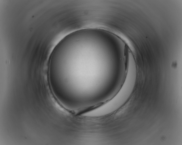 X0000092211102200709281018