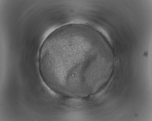 X0000092211103200709281018