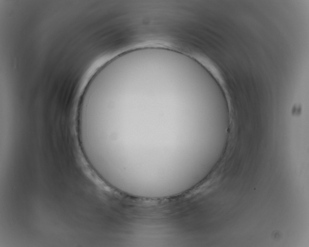 X0000092211104200709281018