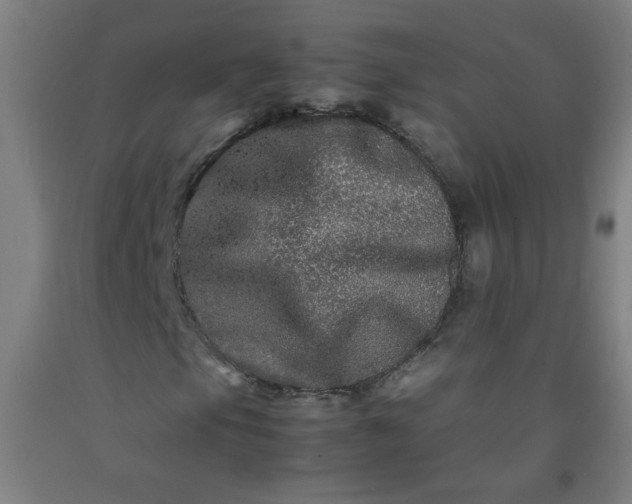 X0000092211105200709281017