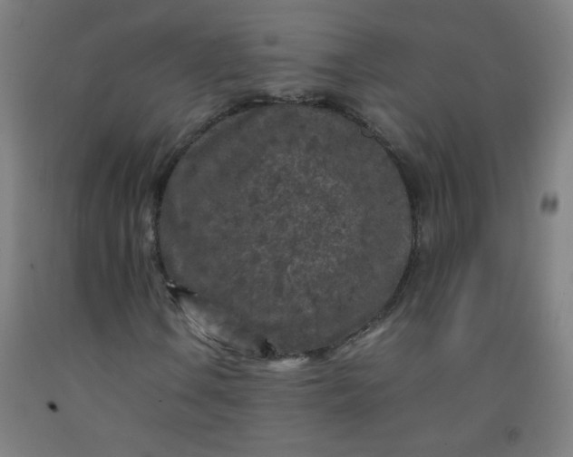 X0000092211106200709281017