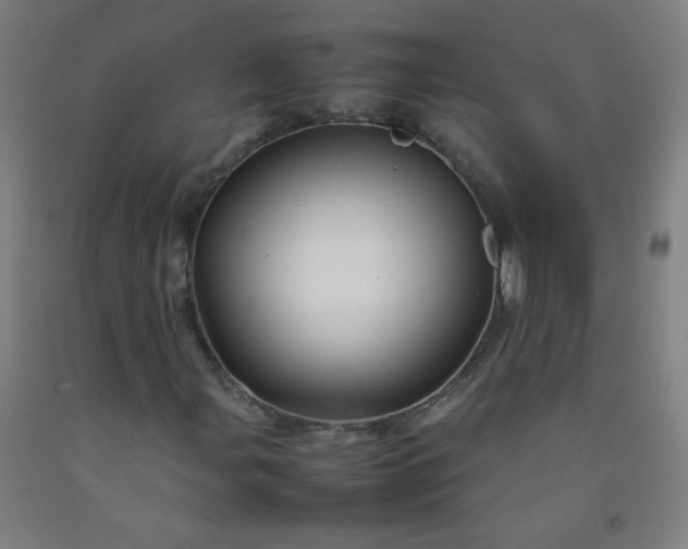 X0000092211107200709281017