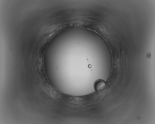 X0000092211109200709281017