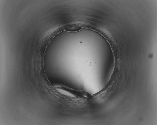 X0000092211111200709281017