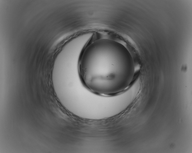 X0000092211112200709281017