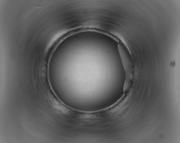 X0000092211115200709281017