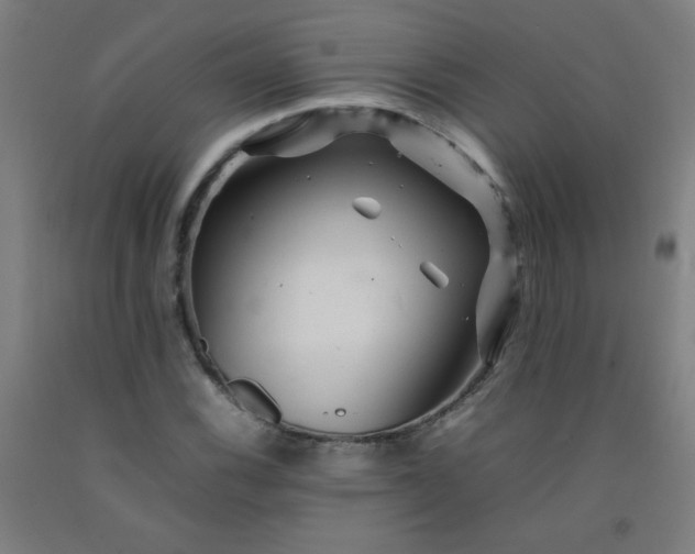 X0000092211116200709281017