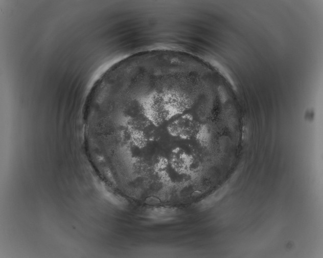 X0000092211117200709281017