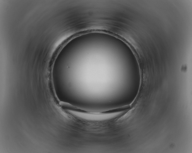 X0000092211119200709281017