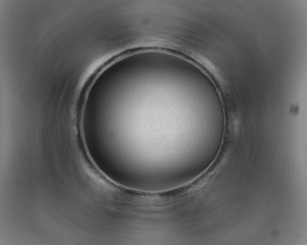 X0000092211120200709281017