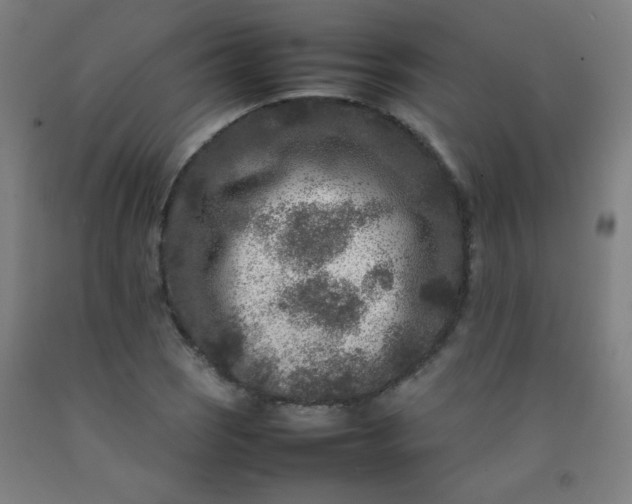 X0000092211121200709281017