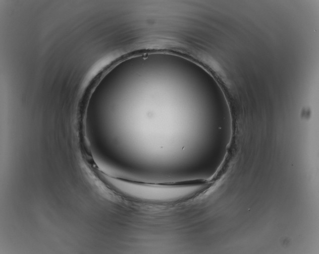 X0000092211122200709281017