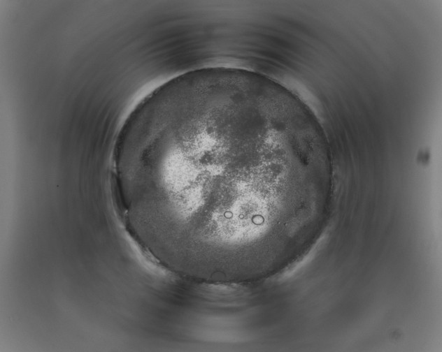 X0000092211125200709281017