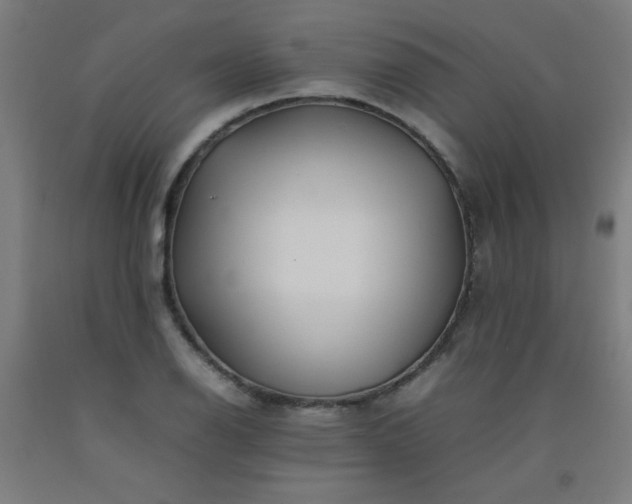 X0000092211126200709281017