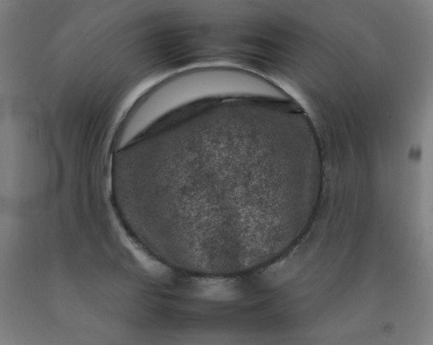 X0000092211127200709281017