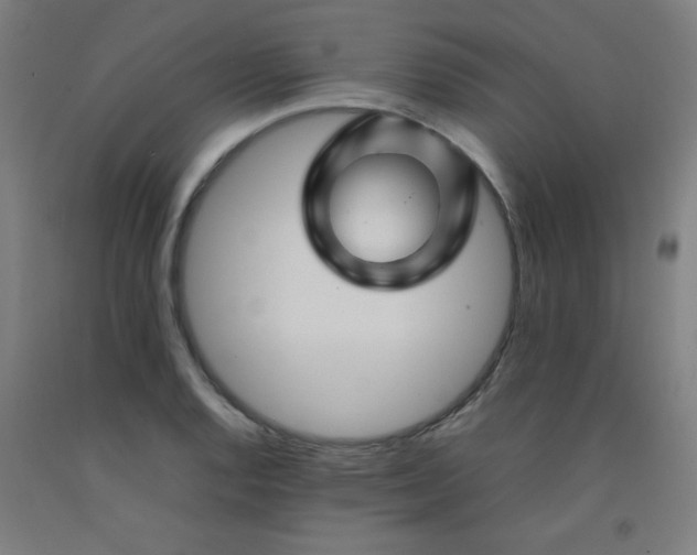 X0000092211128200709281017