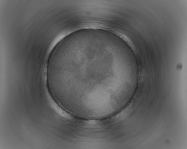 X0000092211130200709281017