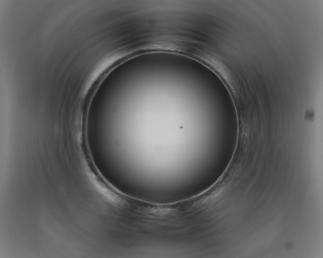 X0000092211131200709281017