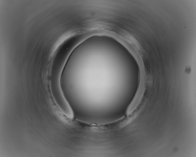 X0000092211138200709281017