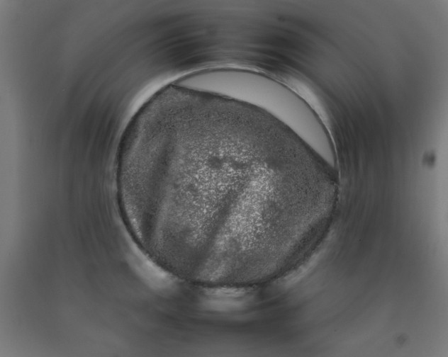 X0000092211141200709281017