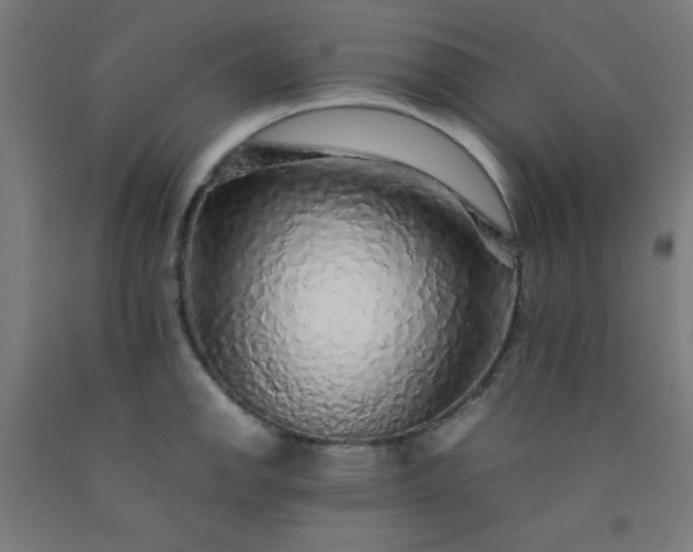 X0000092211142200709281017