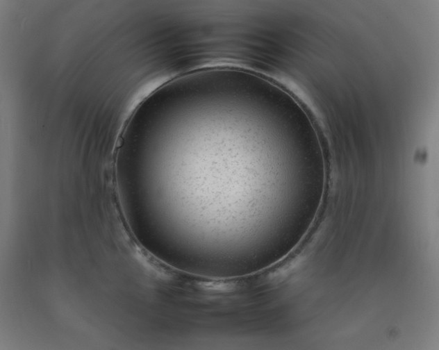 X0000092211145200709281017