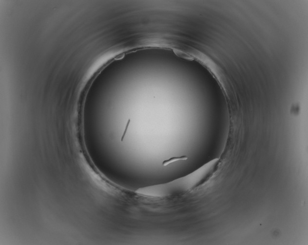 X0000092211147200709281017