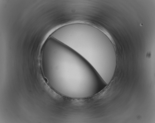 X0000092211148200709281017