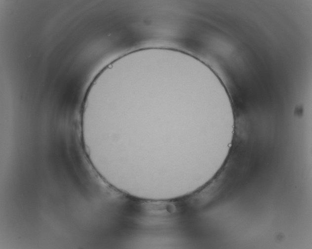 X0000092211150200709281017