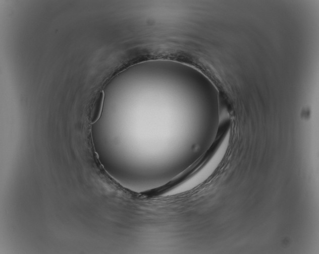 X0000092211153200709281017