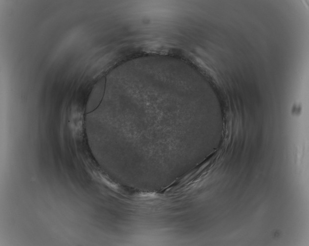 X0000092211154200709281017