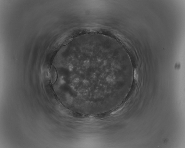 X0000092211155200709281017