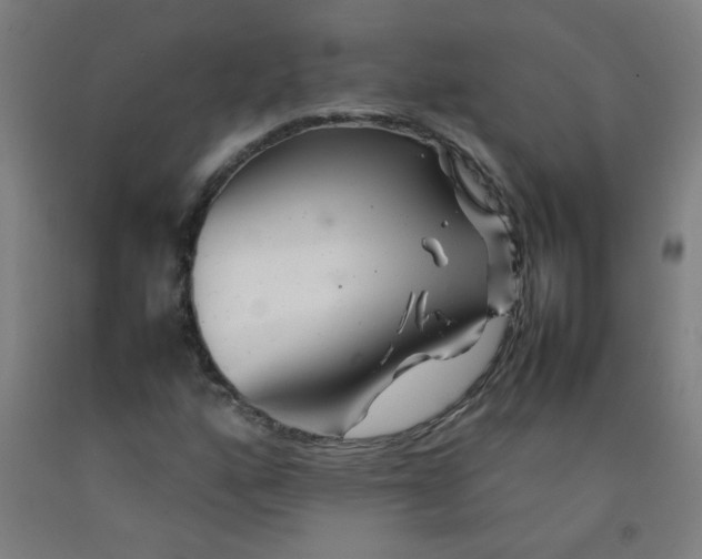 X0000092211160200709281017