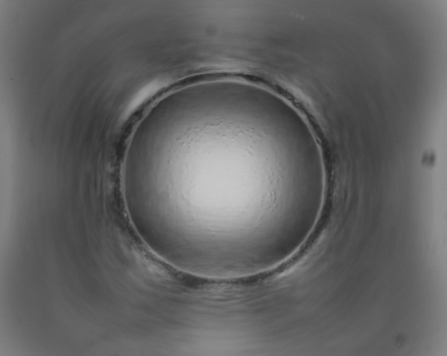 X0000092211163200709281017