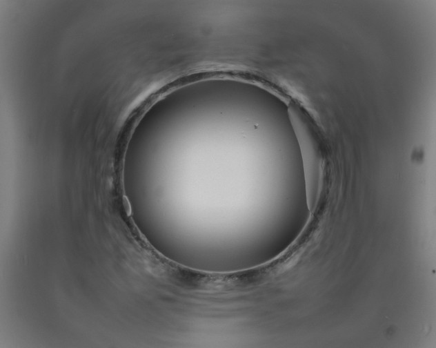 X0000092211165200709281017