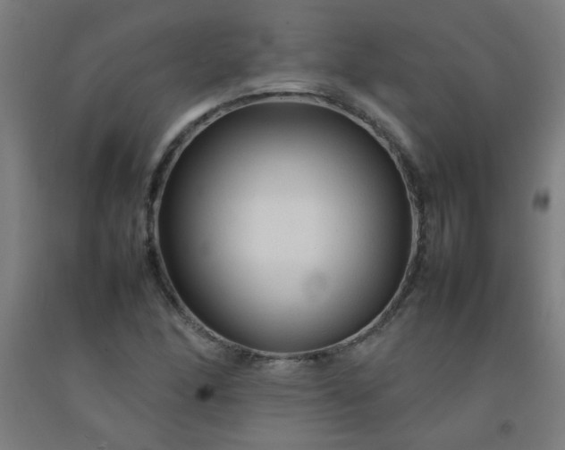 X0000092211166200709281017