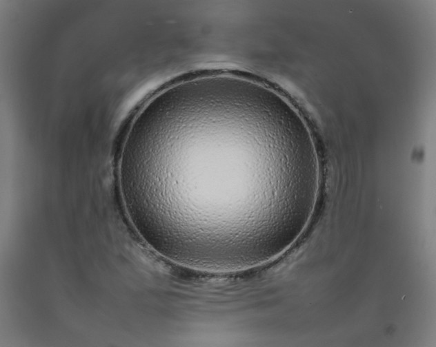 X0000092211167200709281017