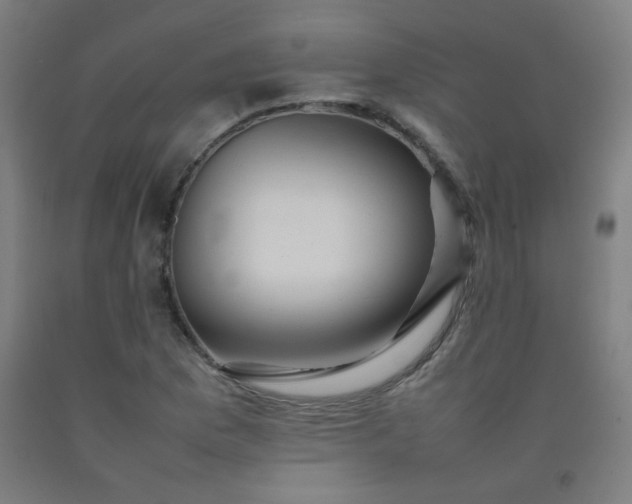 X0000092211169200709281017