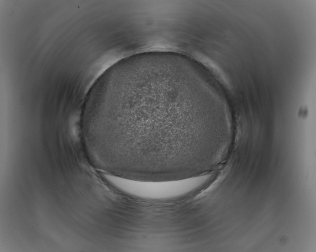 X0000092211170200709281017