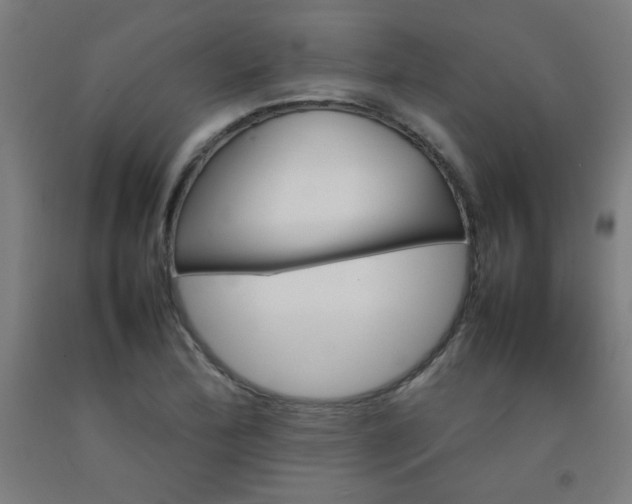 X0000092211172200709281017