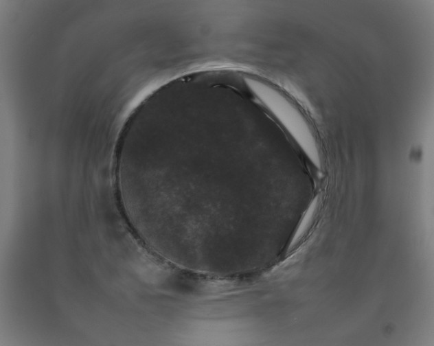 X0000092211173200709281017