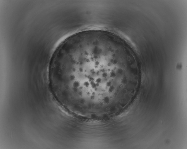 X0000092211174200709281017