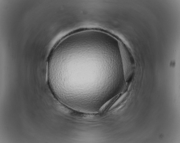 X0000092211175200709281017