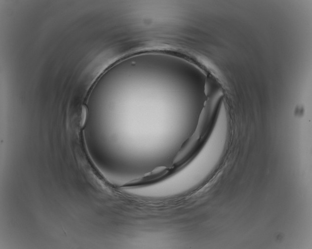 X0000092211177200709281017